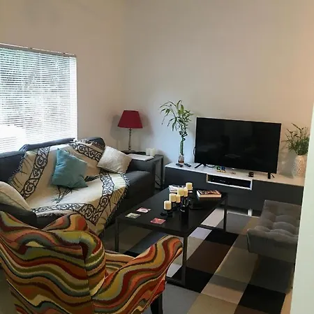 Miami Cozy House-2